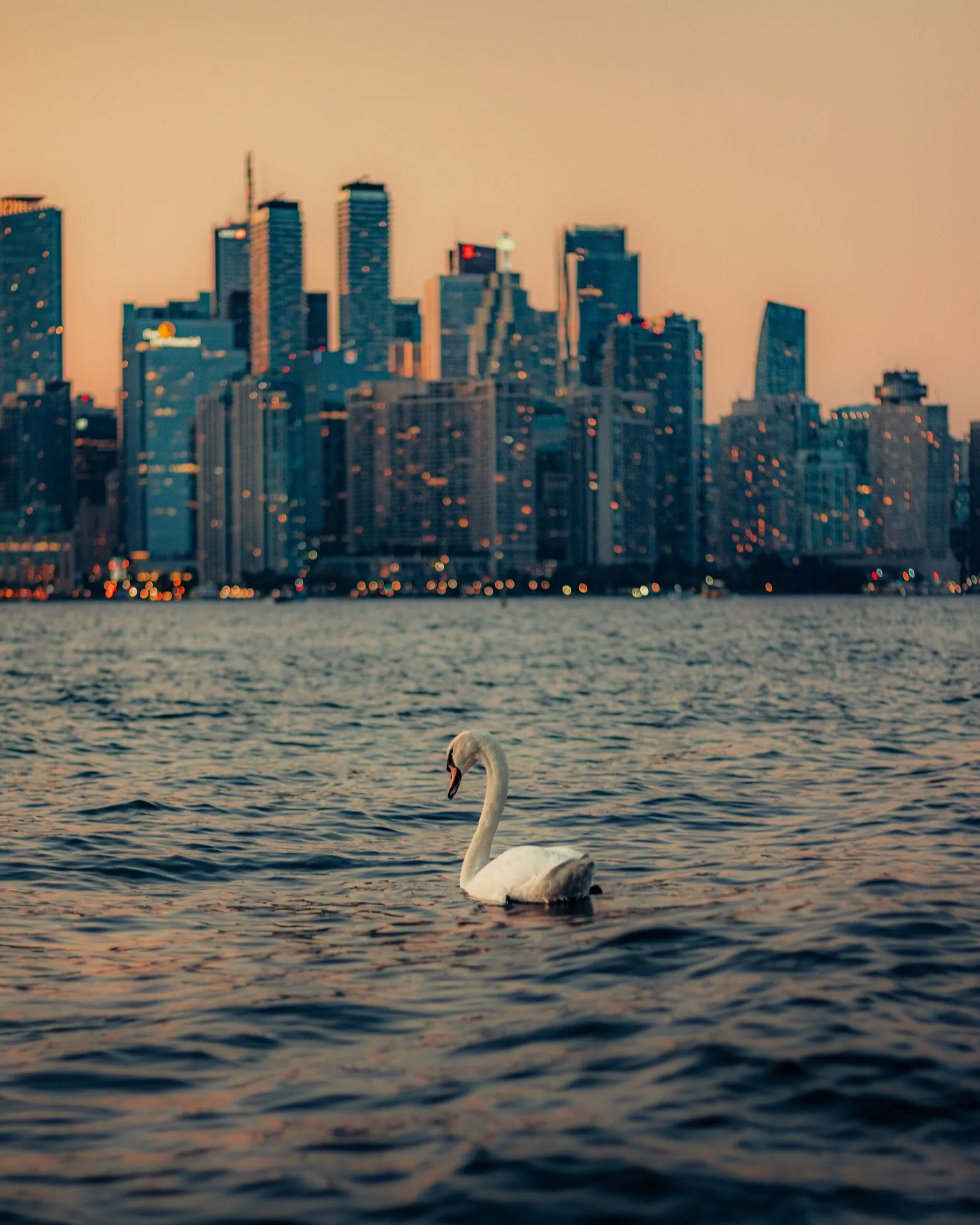 Canada travel photography 28 — David Garí Portfolio